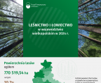 Leśnictwo i łowiectwo w województwie wielkopolskim w 2024 r. Foto