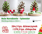 Boże Narodzenie – Sylwester – Wielkopolska w 2024 r. Foto