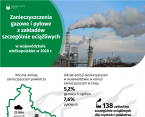Zanieczyszczenia gazowe i pyłowe z zakładów szczególnie uciążliwych w województwie wielkopolskim w 2020 r. Foto