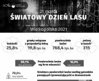 Światowy Dzień Lasu Foto