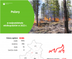 Pożary w województwie wielkopolskim w 2023 r. Foto