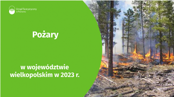 Pożary w województwie wielkopolskim w 2023 r.