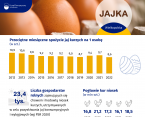 Jajka w Wielkopolsce w 2022 r. Foto